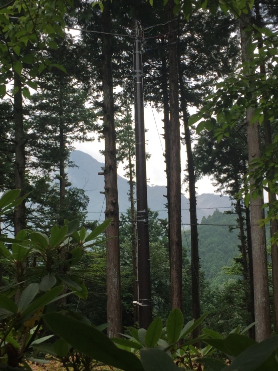 2017年8月19日   ものすごい雷雨だった_b0098584_12412303.jpg