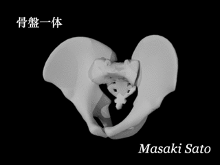 f0074992_22362382.gif