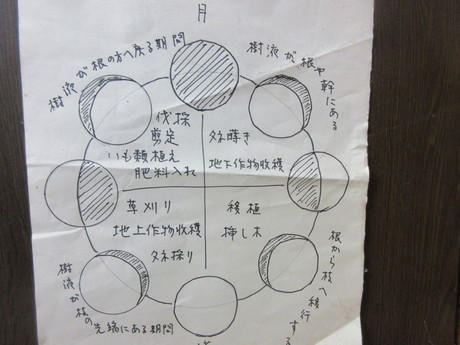 a0203003_17221495.jpg