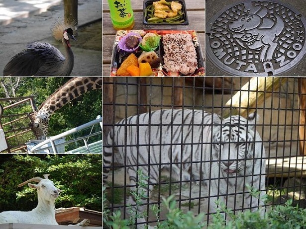 福岡 大牟田市動物園へ行ってきました うふふの時間 福岡 大牟田市動物園へ行ってきました うふふの時間