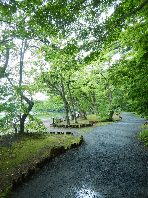 e0243008_10145633.jpg