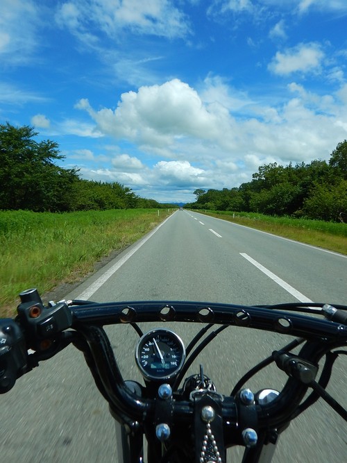 e0243008_7385587.jpg