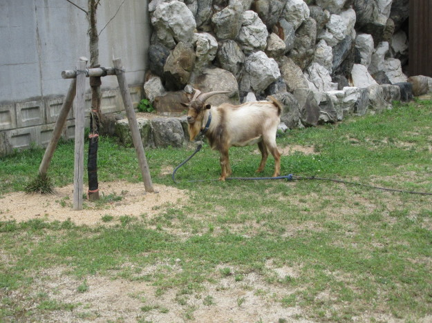 f0231709_04070742.jpg