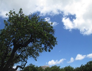 a0242019_04110666.jpg