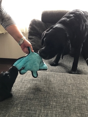 b0339522_23501345.jpeg