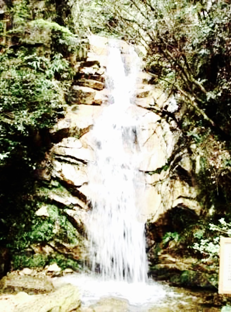koza_a0168628_23592885.png