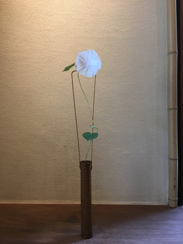 二輪目が咲く!_a0197730_23164699.jpg