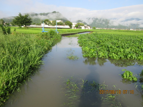 1時間に110ｍｍ？の豪雨で田畑が冠水_a0348843_15213135.jpg