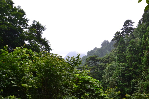 d0320746_00190500.jpg
