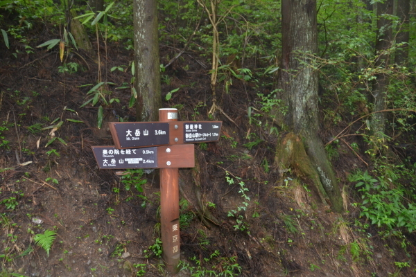 d0320746_00203131.jpg
