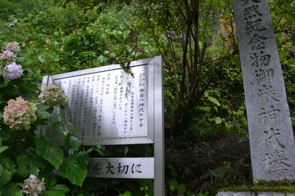 d0320746_00340895.jpg