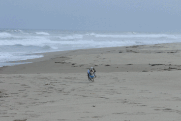c0145250_11095471.gif