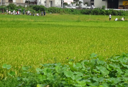 e0172950_19234215.jpg