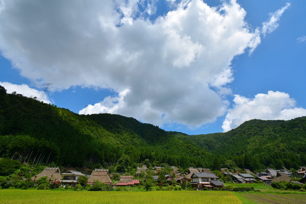 d0090161_09171275.jpg