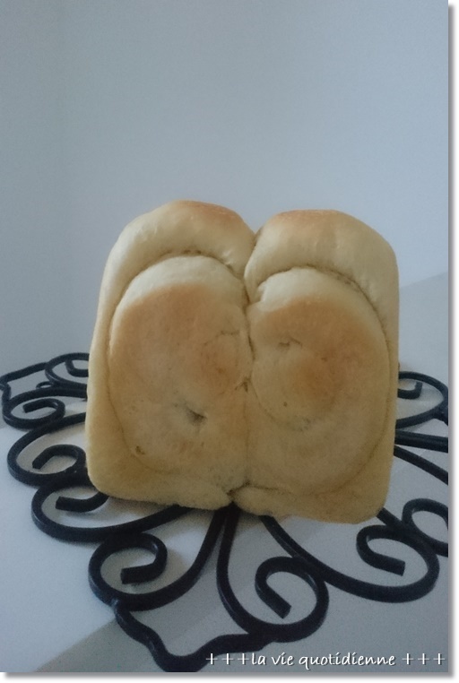 もう笑うしかない…どうしたら、こんなパンが焼けるの?と初自撮り_a0348473_01284354.jpg