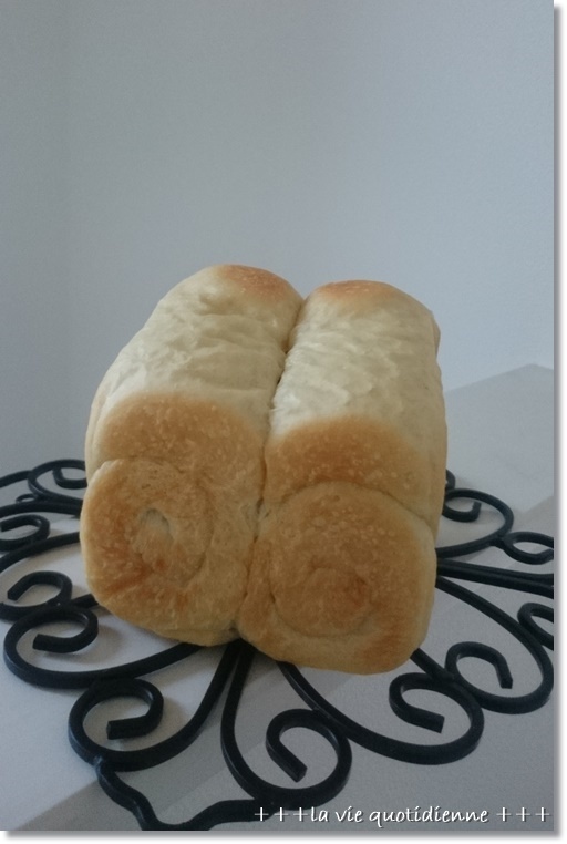 もう笑うしかない…どうしたら、こんなパンが焼けるの?と初自撮り_a0348473_01291300.jpg