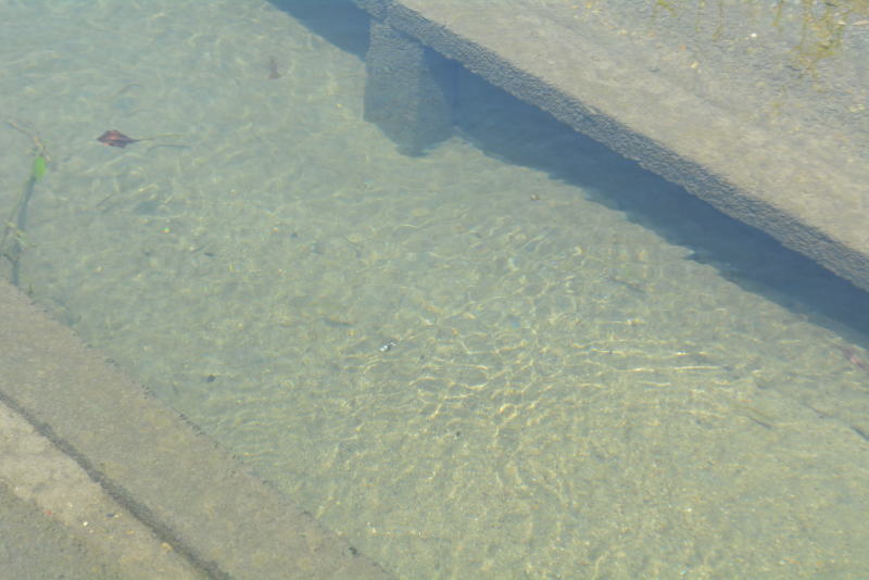 e0207074_12323666.jpg