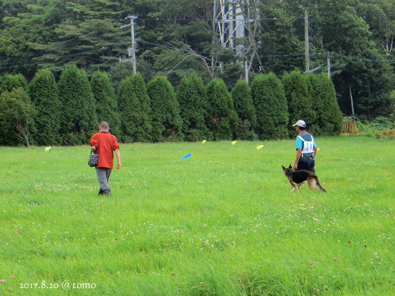 PD北海道訓練ﾁｬﾝﾋﾟｵﾝ決定競技会_f0067179_22381042.jpg