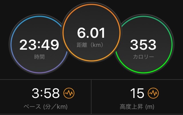 出張の合間を縫って閾値走!_f0310282_20424124.png