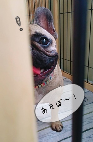 久しぶりの保育園♪_f0357682_15524076.jpg