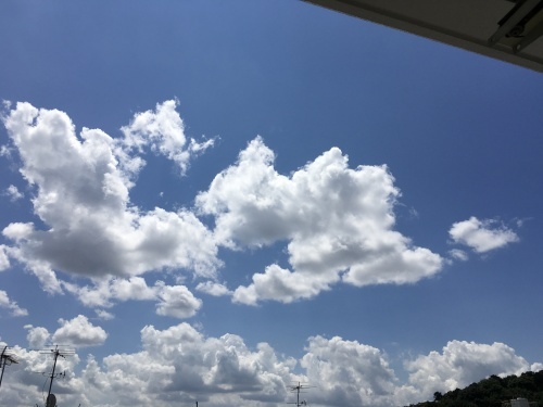 f0347891_21355469.jpg
