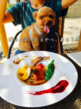カフェ光の穂_b0370192_20325207.jpg