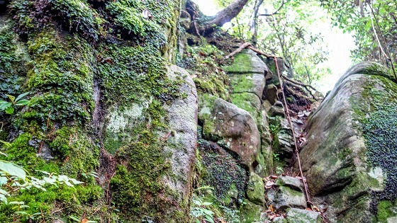 e0176993_06320003.jpg