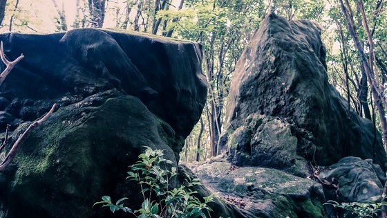 e0176993_06320120.jpg