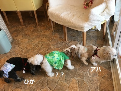 f0372998_20211037.jpg