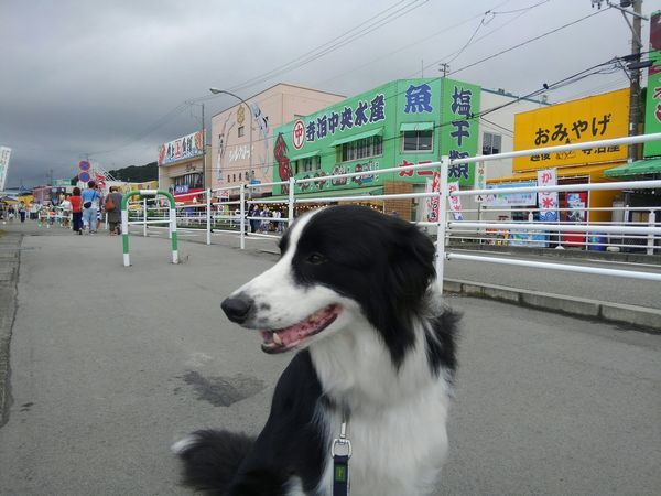 d0224111_10345455.jpg