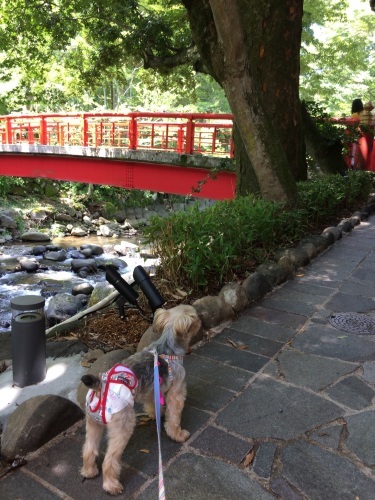 d0123912_07161633.jpeg