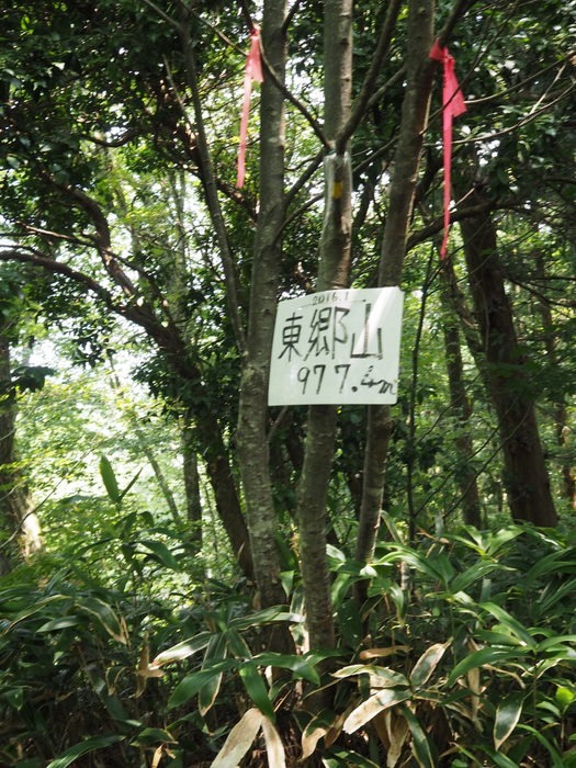 東郷山~四本杉まで_c0116915_0103940.jpg