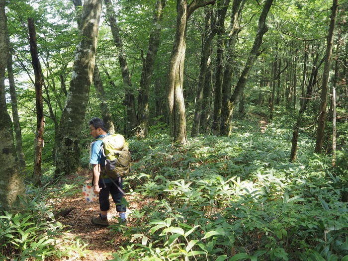東郷山~四本杉まで_c0116915_0121319.jpg