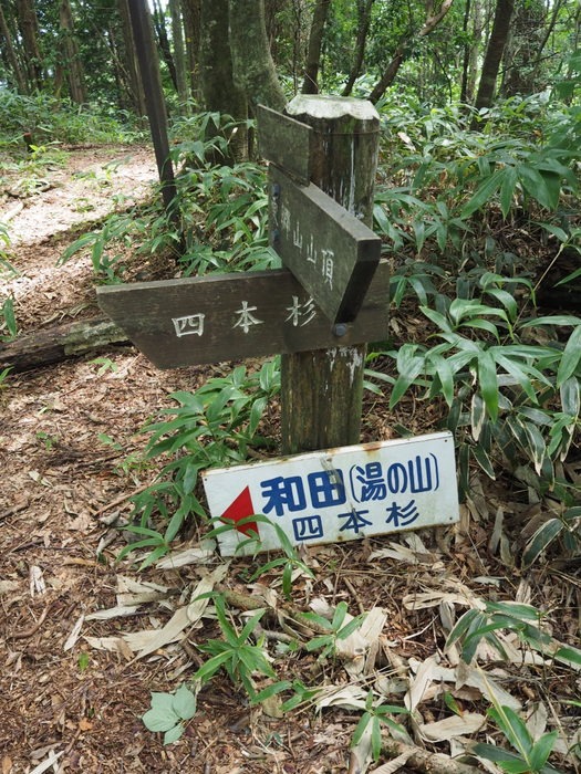 東郷山~四本杉まで_c0116915_0123277.jpg