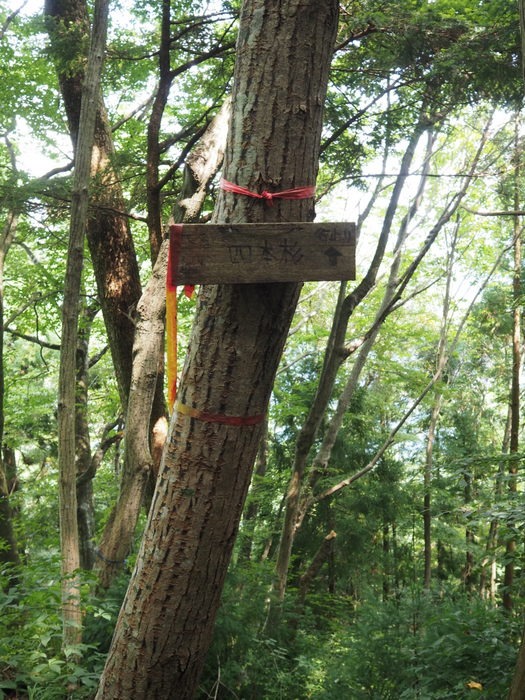 東郷山~四本杉まで_c0116915_0134311.jpg