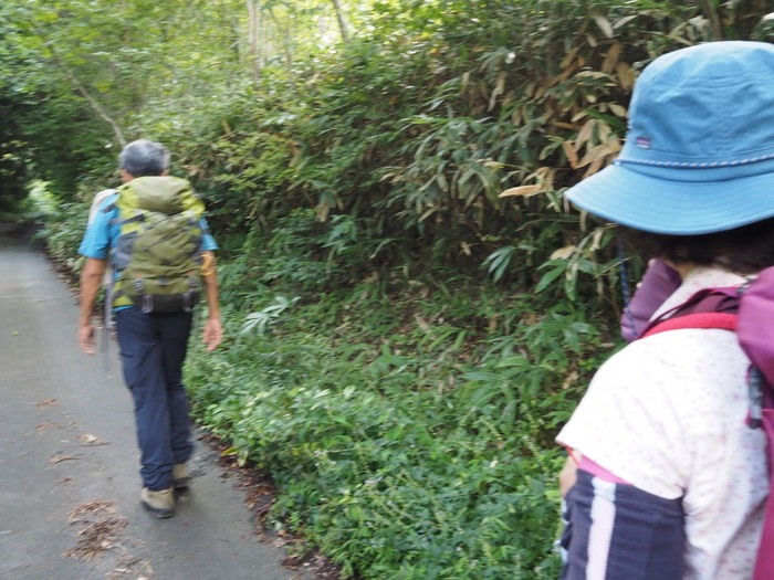 東郷山~四本杉まで_c0116915_022986.jpg