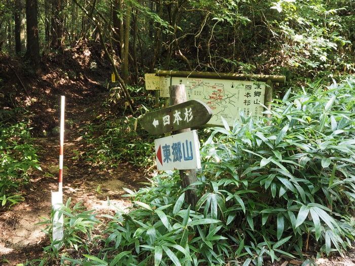 東郷山~四本杉まで_c0116915_033386.jpg