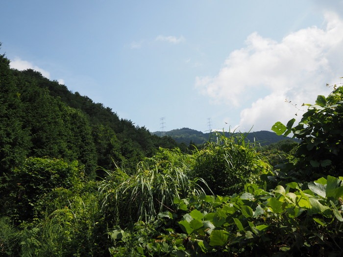 東郷山~四本杉まで_c0116915_03376.jpg