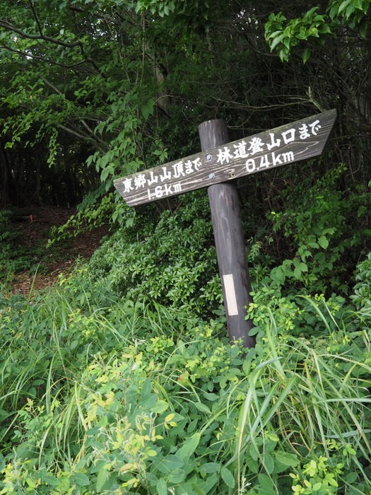 東郷山~四本杉まで_c0116915_07824.jpg