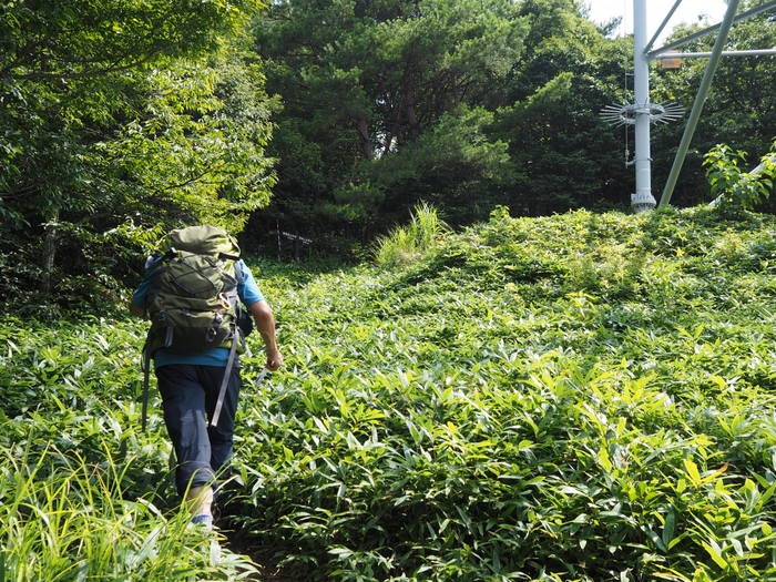 東郷山~四本杉まで_c0116915_082319.jpg