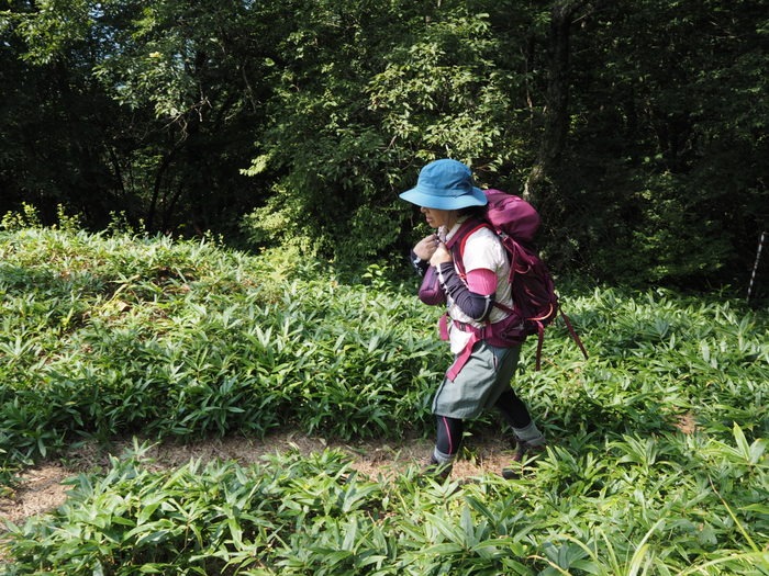 東郷山~四本杉まで_c0116915_083613.jpg