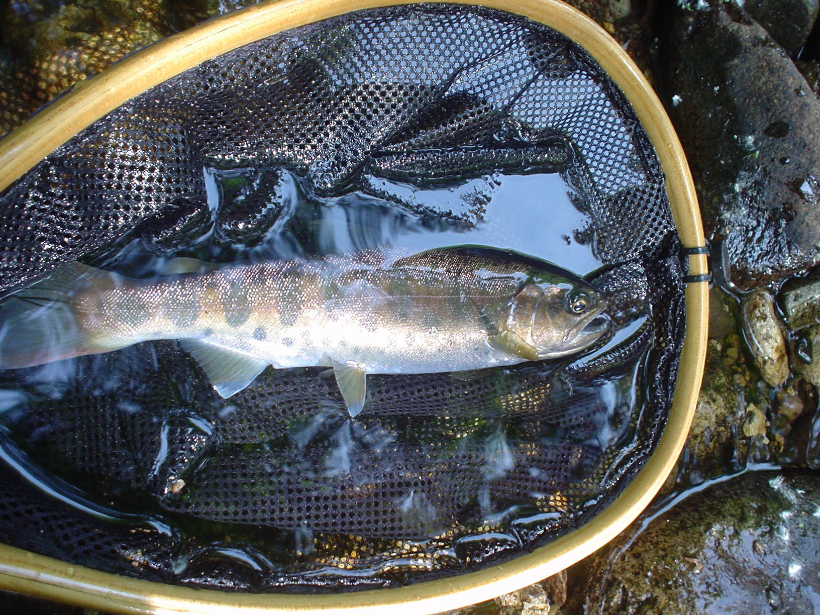 f0280717_18382145.jpg