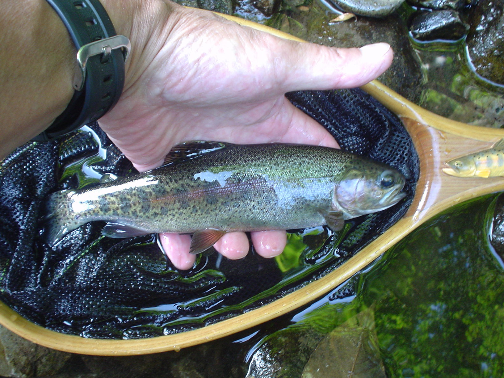 f0280717_18404921.jpg