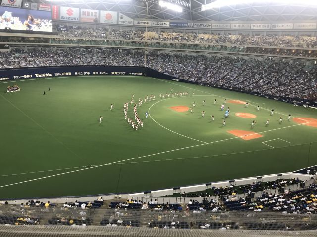 初めてのナゴヤドーム遠征!_a0164918_21061296.jpg