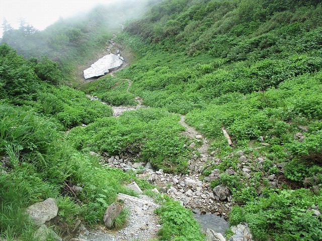 中部山岳　残雪と花の山　Day2　白馬大池から雪倉岳　　　　　Mount Yukikura in Chūbu-Sangaku NP_f0308721_1424399.jpg