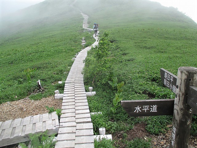 中部山岳　残雪と花の山　Day2　白馬大池から雪倉岳　　　　　Mount Yukikura in Chūbu-Sangaku NP_f0308721_1428925.jpg