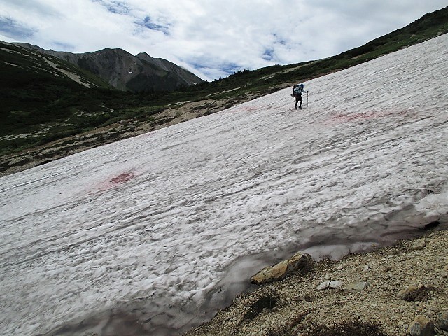 中部山岳　残雪と花の山　Day2　白馬大池から雪倉岳　　　　　Mount Yukikura in Chūbu-Sangaku NP_f0308721_144252.jpg