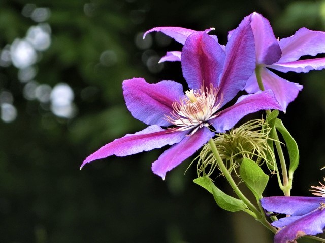 f0354923_00371904.jpg