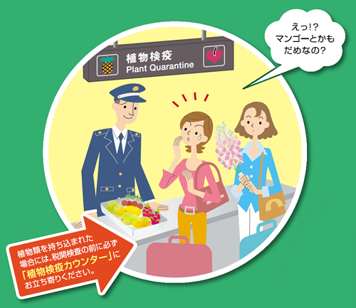 台湾からパイナップルを持ち帰りました(´∀`)~2017年7月編。_a0207624_10055503.jpg