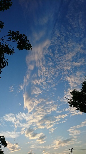 d0060425_00011875.jpg